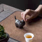 Cat Tea Pet with a cup of tea and hand in scene