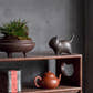 Cat Tea Pet on a shelf with a plant, tin of tea, and teapot