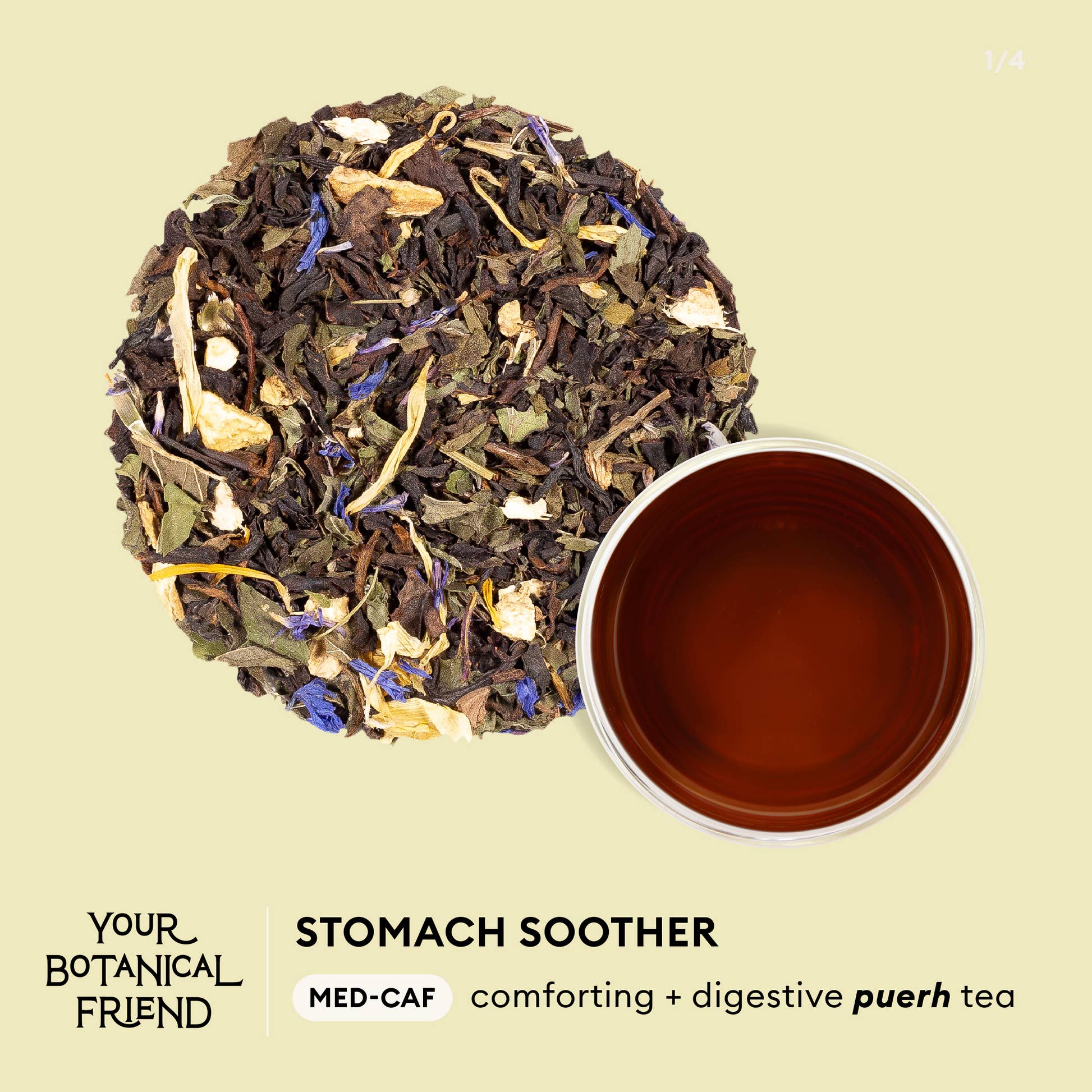 Your Botanical Friend - Stomach Soother caf-free, comforting + digestif infographic